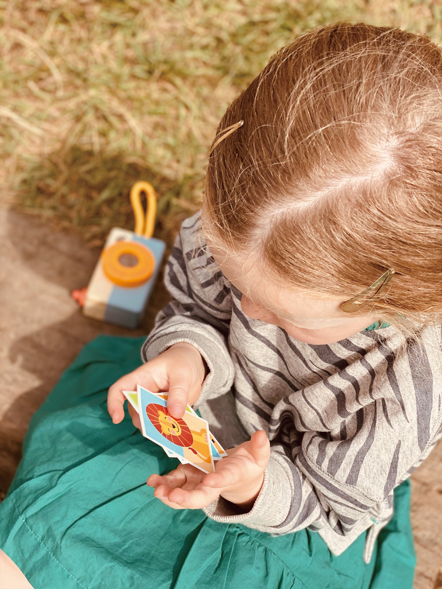 Kit para exploradores del safari