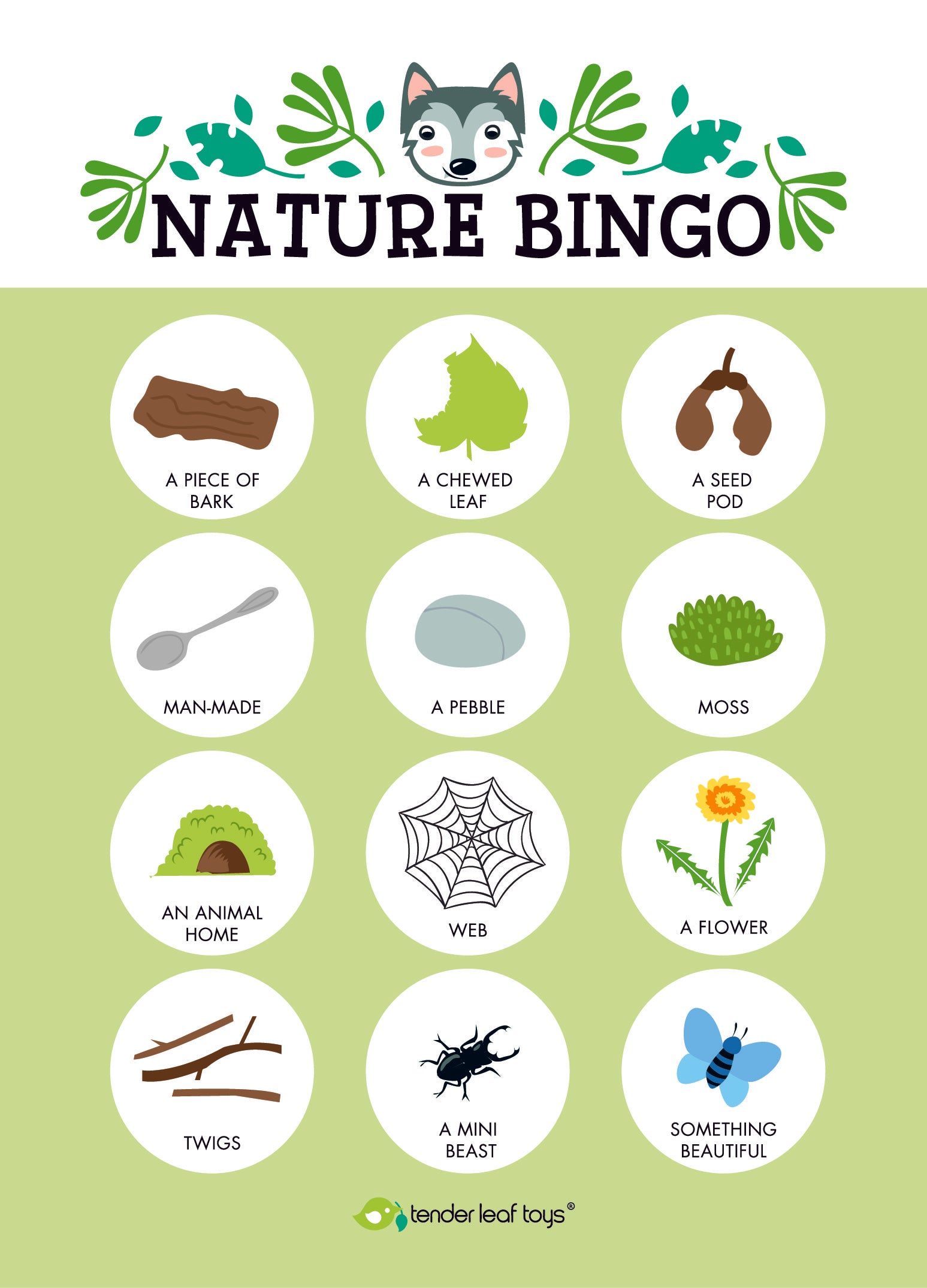 Kit para exploradores del bosque