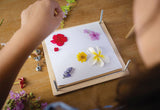 Prensa de flores y hojas