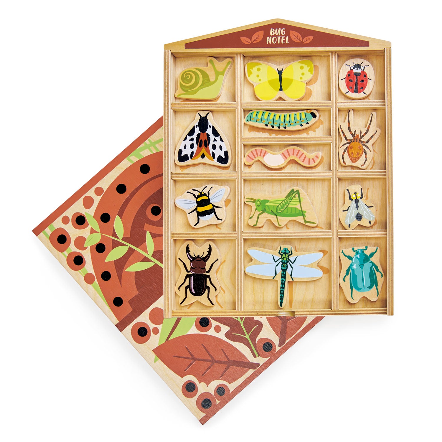 Organizador de insectos