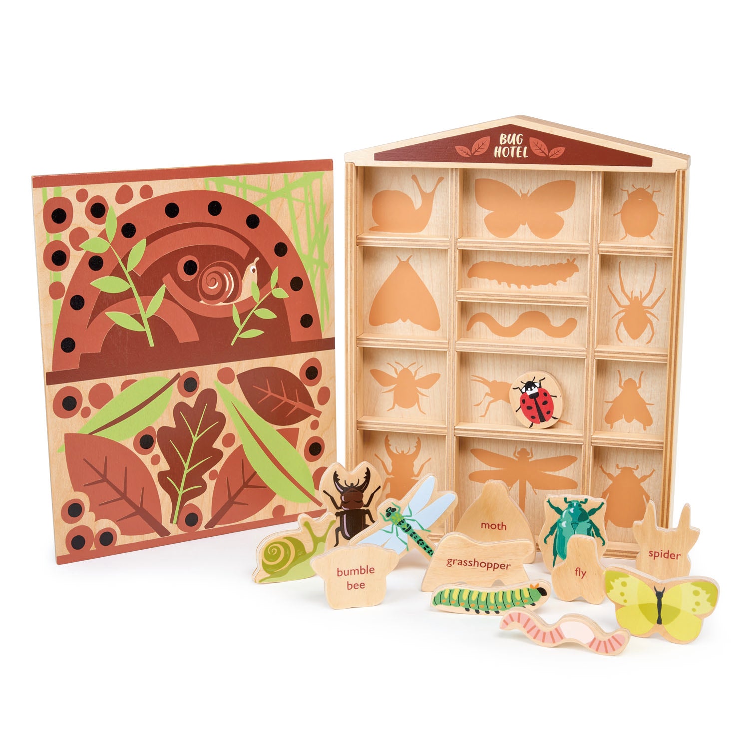 Organizador de insectos