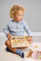 Organizador de insectos