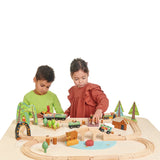 Pista de tren forestal