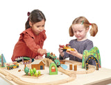 Pista de tren forestal